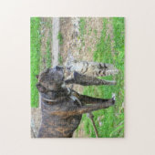 Pit Bull en Cat Legpuzzel (Verticaal)