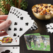 Pit Bull en Cat Pokerkaarten (Insitu)