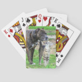 Pit Bull en Cat Pokerkaarten (Achterkant)