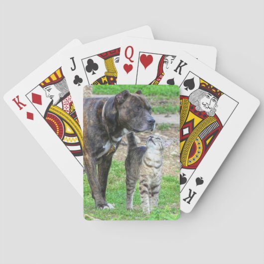 Pit Bull en Cat Pokerkaarten (Achterkant)
