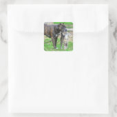 Pit Bull en Cat Vierkante Sticker (Tas)