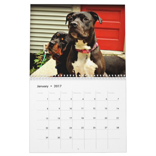 Pit Bull en Rottweiler Love Kalender (Jan 2017)