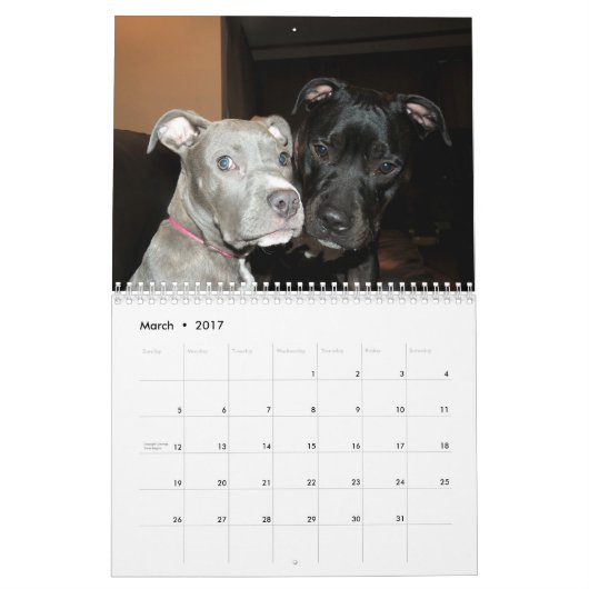 Pit Bull en Rottweiler Love Kalender (Mar 2017)