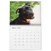 Pit Bull en Rottweiler Love Kalender (Feb 2017)