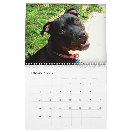Pit Bull en Rottweiler Love Kalender (Feb 2017)