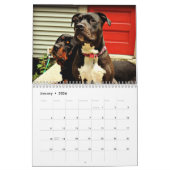 Pit Bull en Rottweiler Love Kalender (Jan 2026)