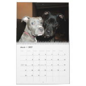 Pit Bull en Rottweiler Love Kalender (Mar 2027)