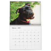 Pit Bull en Rottweiler Love Kalender (Feb 2027)