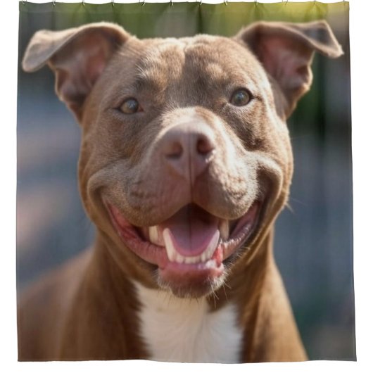 Pit Bull-foto toevoegen aanpassen Douchegordijn (Voorkant)