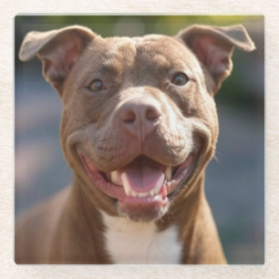 Pit Bull-foto toevoegen aanpassen Glazen Onderzetter