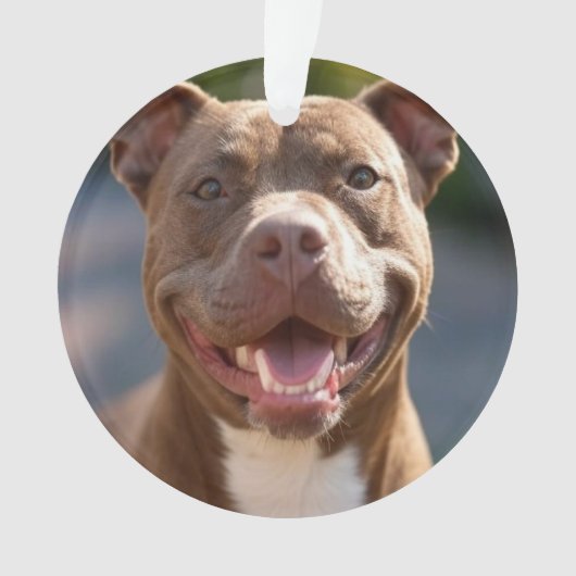 Pit Bull-foto toevoegen aanpassen Ornament (voorkant)