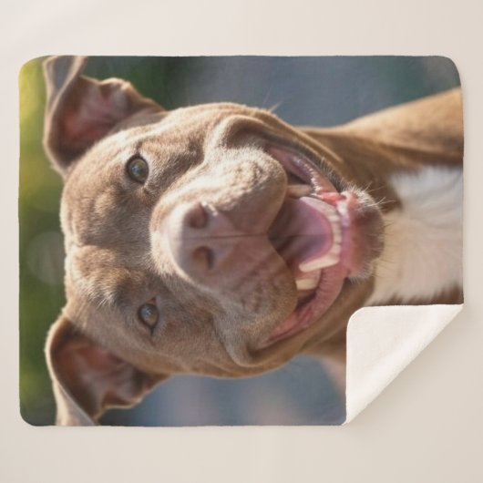 Pit Bull-foto toevoegen aanpassen Sherpa Deken (Voorkant (horizontaal))