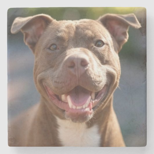 Pit Bull-foto toevoegen aanpassen Stenen Onderzetter (Voorkant)