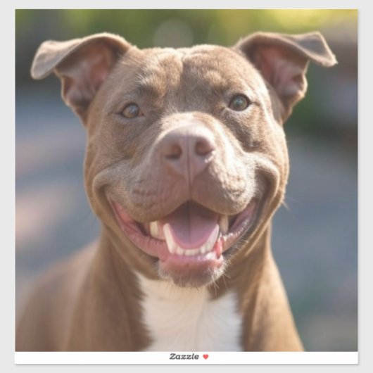 Pit Bull-foto toevoegen aanpassen Sticker (Vel)
