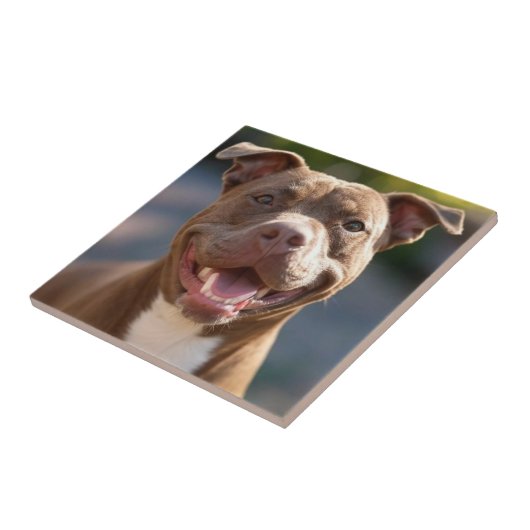 Pit Bull-foto toevoegen aanpassen Tegeltje (Zijkant)