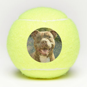 Pit Bull-foto toevoegen aanpassen Tennisballen