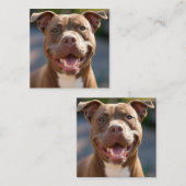 Pit Bull-foto toevoegen aanpassen Vierkante Visitekaartje (Voorkant / Achterkant)