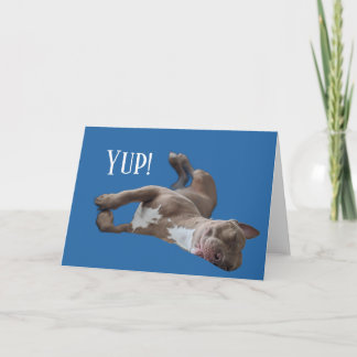 Pit Bull Grappig Kaart