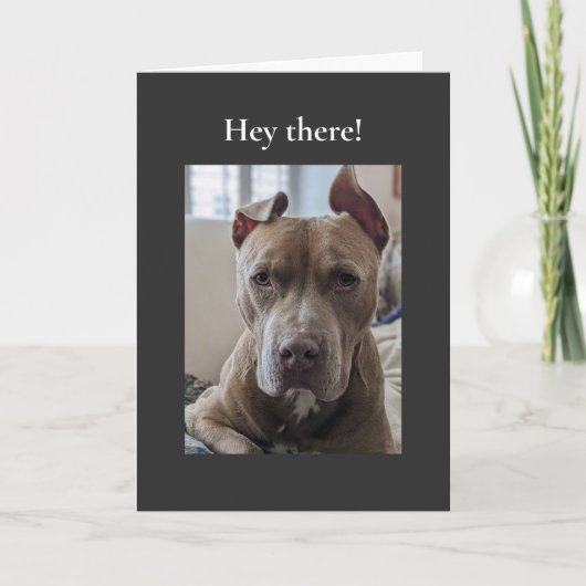 Pit Bull Hallo Daar Kaart (Voorkant)