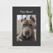 Pit Bull Hé Daar Kaart (Voorkant)