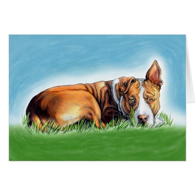 Pit Bull hoort je (Voorkant Horizontaal)