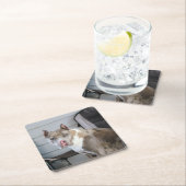 Pit Bull Kartonnen Onderzetters (Insitu)