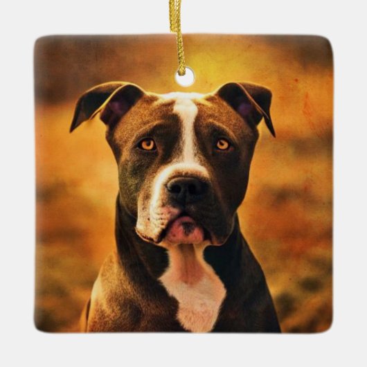 Pit Bull Keramisch Ornament (Voorkant)