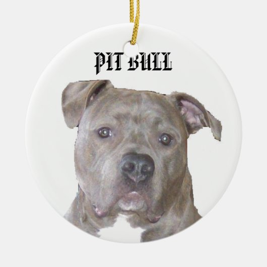 PIT BULL KERAMISCH ORNAMENT (Voorkant)