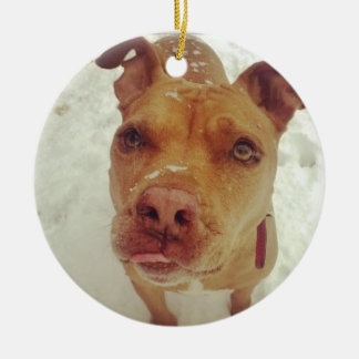 Pit Bull-kerstversiering Keramisch Ornament