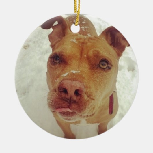 Pit Bull-kerstversiering Keramisch Ornament (Voorkant)