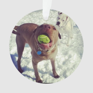 Pit Bull-kerstversiering Ornament