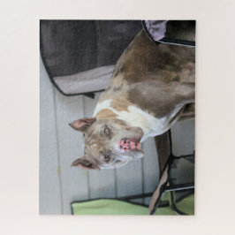Pit Bull Legpuzzel
