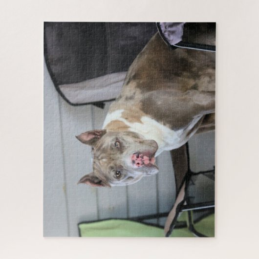 Pit Bull Legpuzzel (Verticaal)