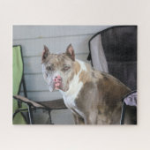 Pit Bull Legpuzzel (Horizontaal)