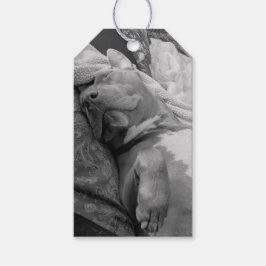 Pit Bull Liefde Fotografie Cadeaulabel
