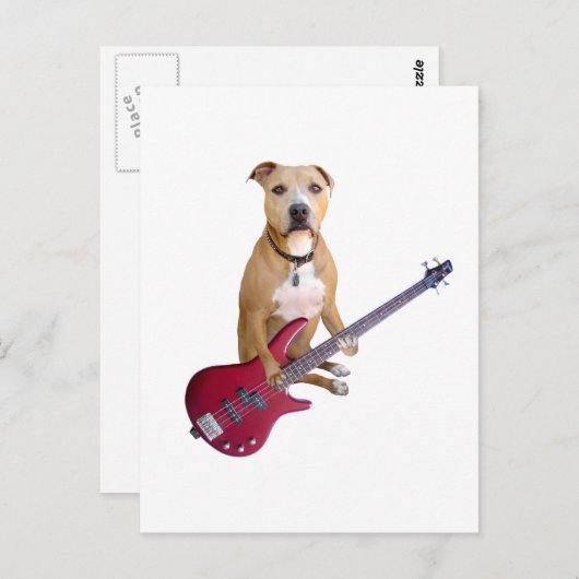 Pit Bull met gitaar Briefkaart (Voorkant / Achterkant)
