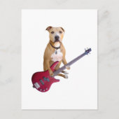 Pit Bull met gitaar Briefkaart (Voorkant)