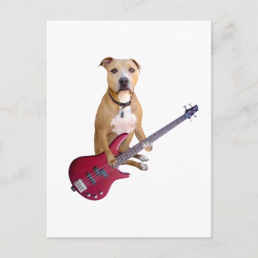 Pit Bull met gitaar Briefkaart (Voorkant)