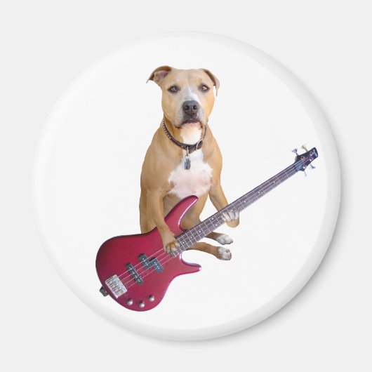 Pit Bull met gitaar Magneet (Voorkant)