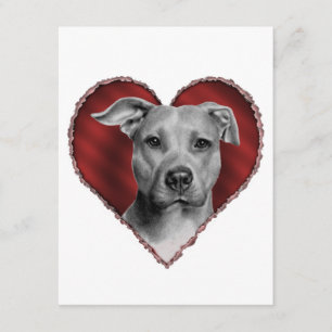 Pit Bull met hart Kaart