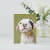 Pit Bull met zwarte gepotte oog Briefkaart (Staand voorkant)