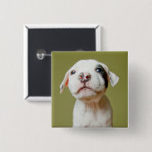 Pit Bull met zwarte gepotte oog Vierkante Button 5,1 Cm (Voorkant /achterkant)
