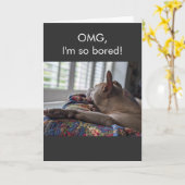 Pit Bull OMG ik verveel me zo Kaart (Gele Bloem)