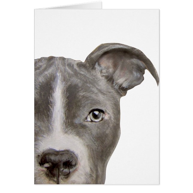Pit bull Origineel schilderen en ontwerp door midd (Voorkant)