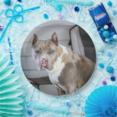 Pit Bull Papieren Bordje (Feest)