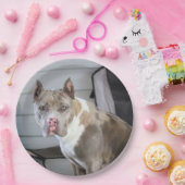 Pit Bull Papieren Bordje (Feest)