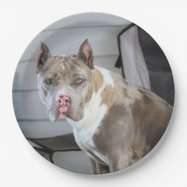 Pit Bull Papieren Bordje