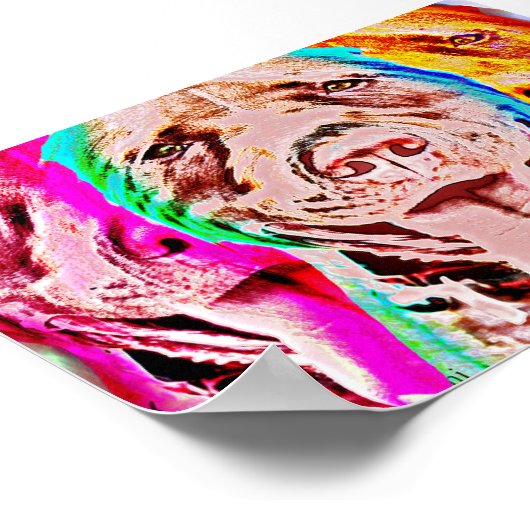 Pit Bull Pop Art Portret Poster (Hoek)