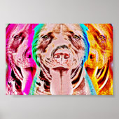Pit Bull Pop Art Portret Poster (Voorkant)