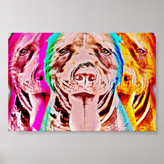 Pit Bull Pop Art Portret Poster (Voorkant)